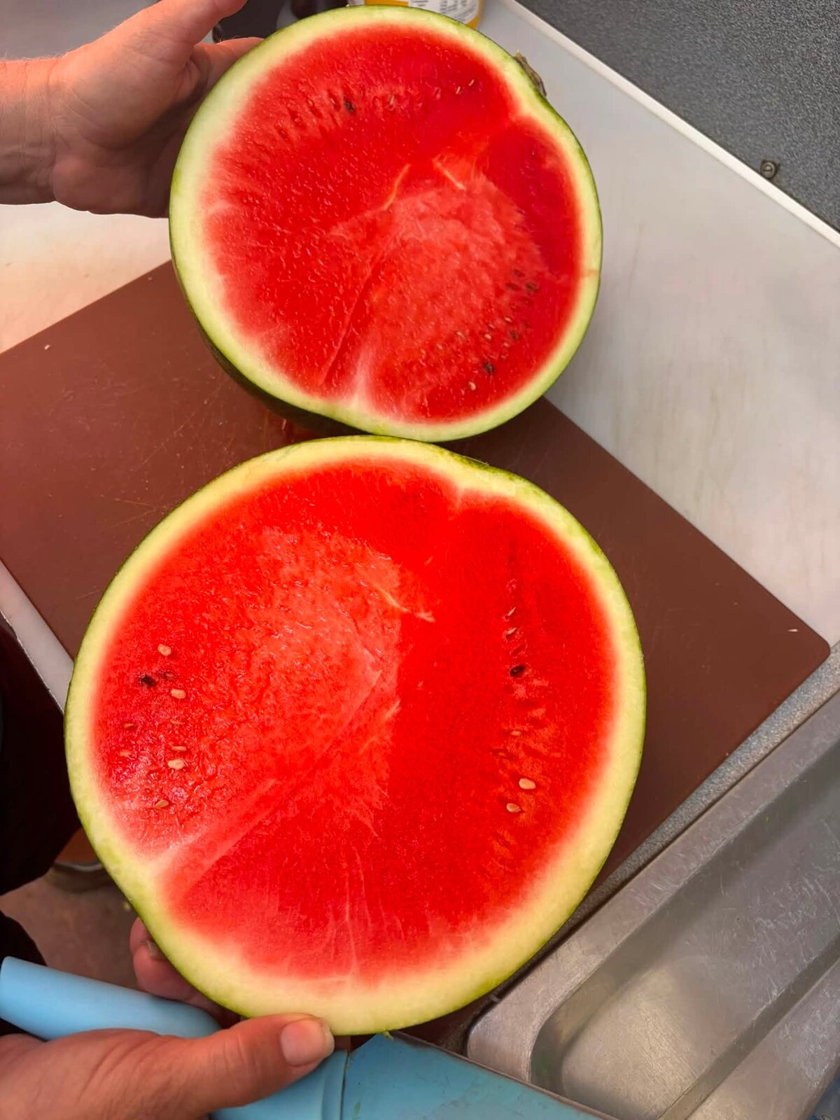 Fresh cut watermelon halves ready for customers at Giru Convenience in Giru, Queensland